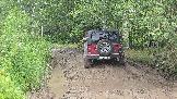 20250801_141544.jpg