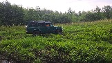 20250801_115946.jpg