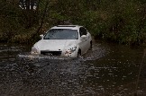 IMG_8879.jpeg