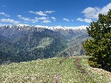 IMG_8687.JPEG