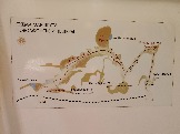 2026-05-06 13-40-10.JPG
