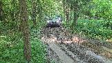 20260606_163508.jpg