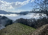 IMG_8533.JPEG
