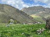IMG_8584.JPEG