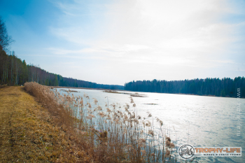 2020-03-28-kubrinsk-32.jpg