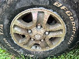 IMG_8586.JPEG