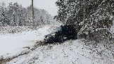 20231125_124207.jpg