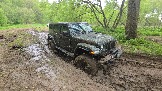 20250518_155610.jpg