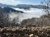 IMG_8542.JPEG