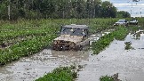 20260510_171406.jpg