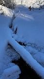 IMG_2719.JPG