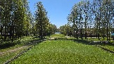 20250503_111156.jpg