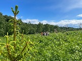 IMG_8786.JPG