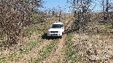 20250420_121019.jpg