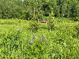IMG_8764.JPG
