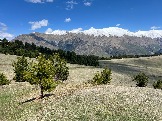 IMG_8686.JPEG