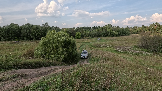 Трофи-лайф фото 4х4 Школа около Чехова 01.09.2024 -  (43).png