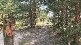 20260502_163246.jpg