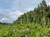 IMG_8831.JPG