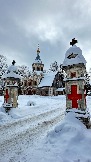IMG_7880.jpg