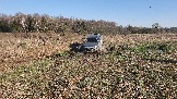 20250420_165807.jpg