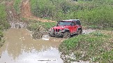 20260510_140204.jpg