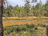 IMG_5633.JPG