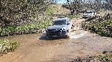 20250420_121224.jpg