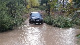 20231011_165057.jpg