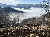 IMG_8541.JPEG