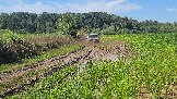 20260801_135357.jpg