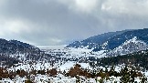 IMG_8704.jpg