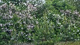 20260530_200716.jpg
