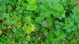 20240803_160447.jpg