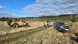 20250508_171910.jpg
