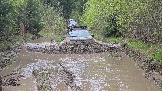20260510_120335.jpg