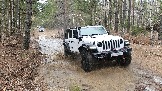 20250315_121239.jpg