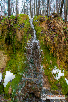 _MG_8365.jpg