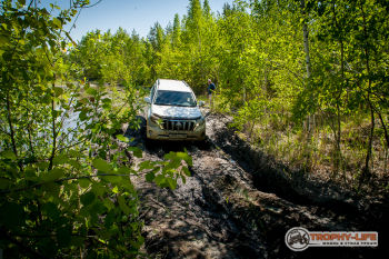 _MG_2239.jpg