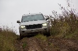 IMG_8733.jpeg