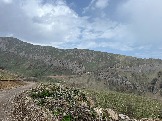 IMG_8605.JPEG