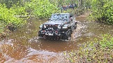 20250502_160428.jpg