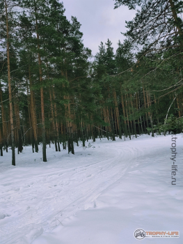 Фото Трофи-лайф 4х4 покатушка Мещерские Скитания 30.01.21 -26.jpg