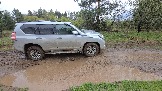 20250502_161721.jpg