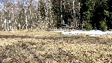 Трофи-лайф фото 4х4 покатушка Истринские Просеки 04.04.2026 - (67).jpg