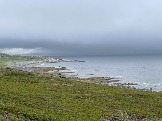 IMG_9277.jpeg