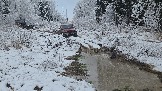 20251115_122306.jpg