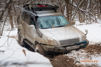 _MG_0036.jpg