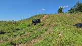 20260801_115925.jpg