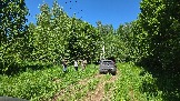 20260606_112837.jpg